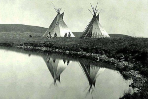Tipis